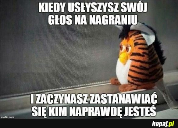 TO NIE JA