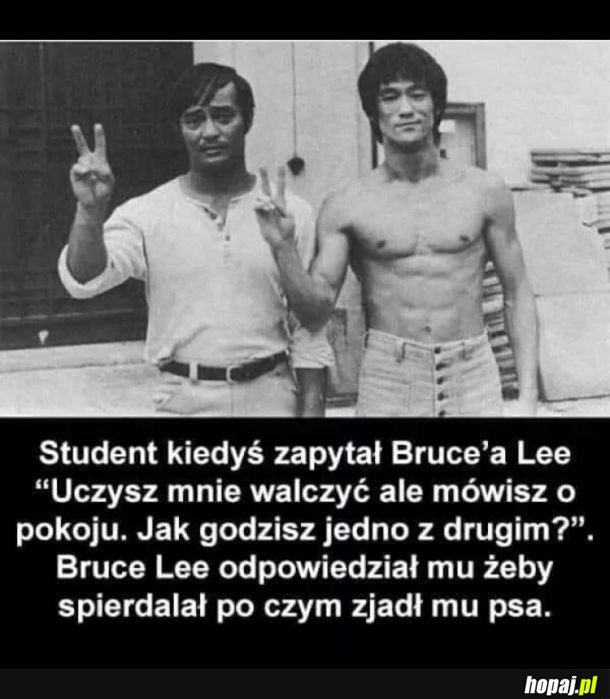 Potwierdzam byłem tym psem