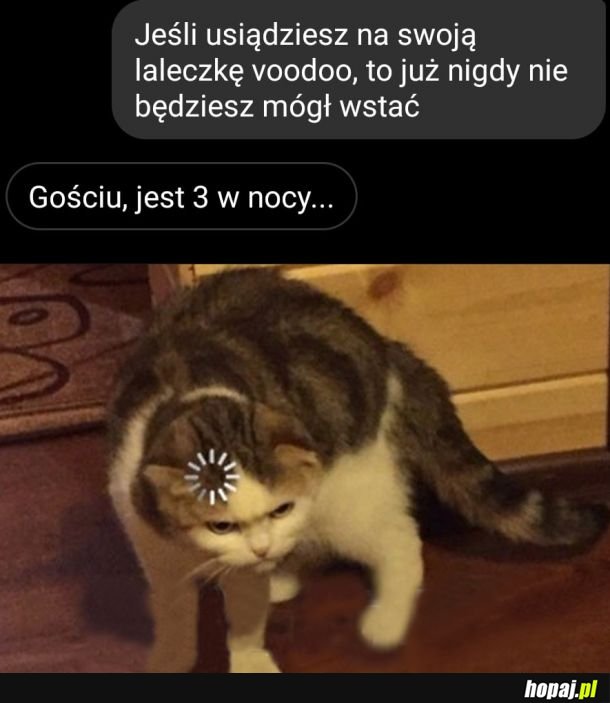 Nocne rozkminy