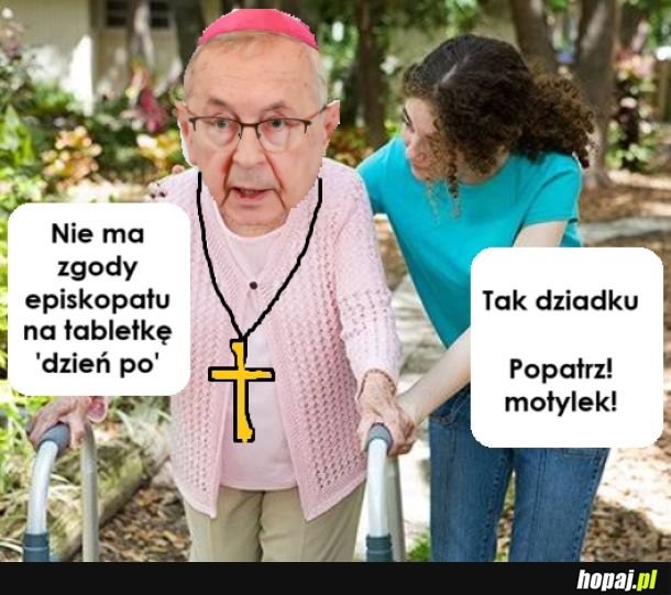 Motylek