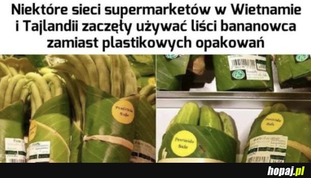 Liście bananowca