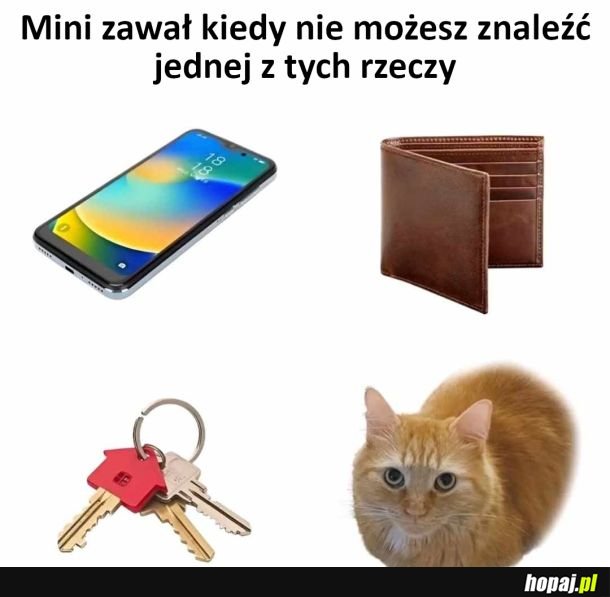 Mini zawał
