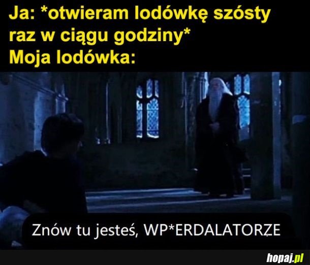 Lodówka