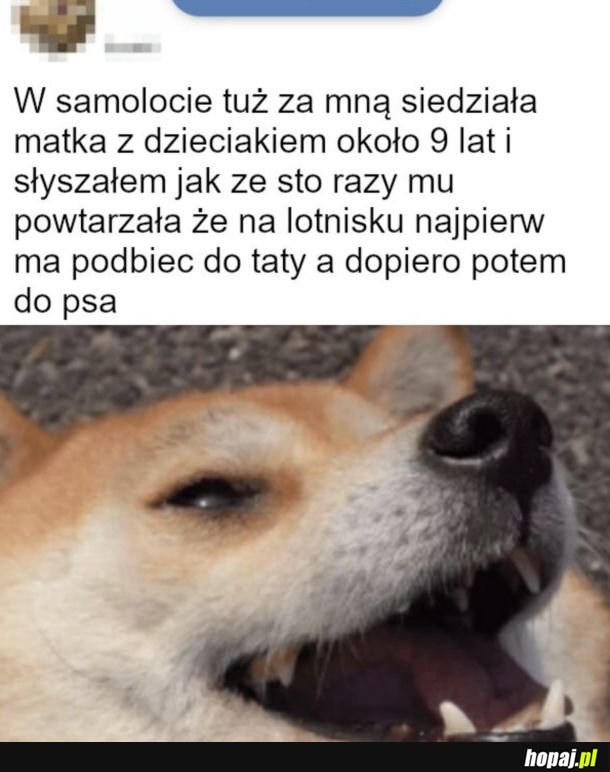 Pewnie i tak to nic nie dało