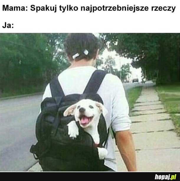 NAJWAŻNIEJSZE RZECZY