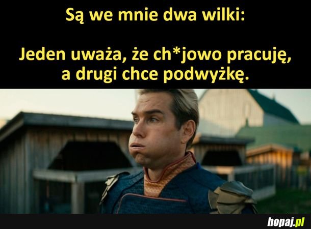 Są we mnie dwa wilki