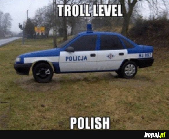 POLSKI TROLLING