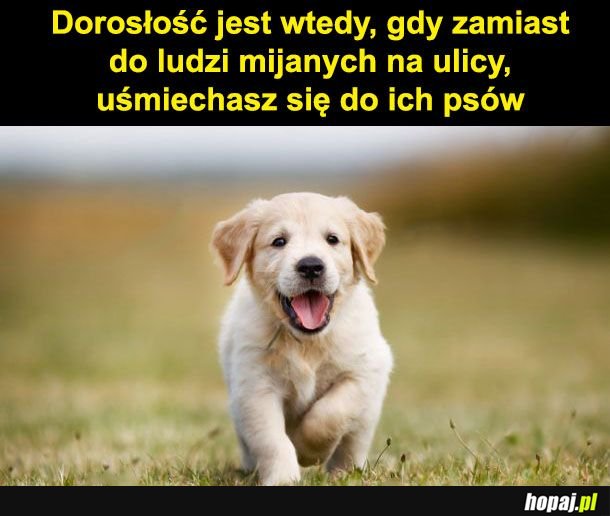 Dorosłość