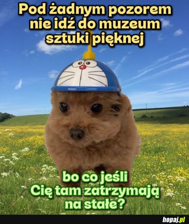 Dzień dobry