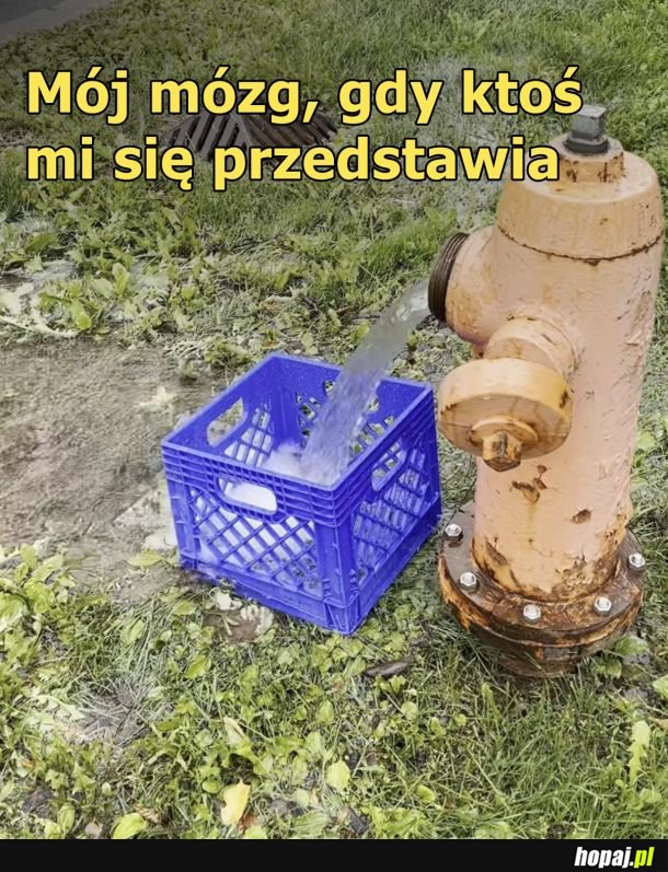 Po 0,0001s nie pamiętam imienia