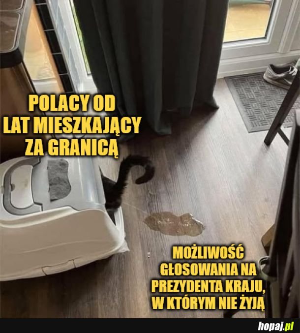 Polonia głosuje. 