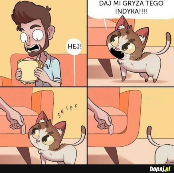 Życie z kotem
