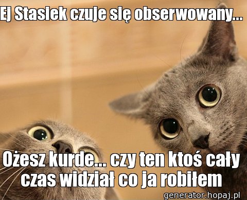 Ej Stasiek czuje się obserwowany...