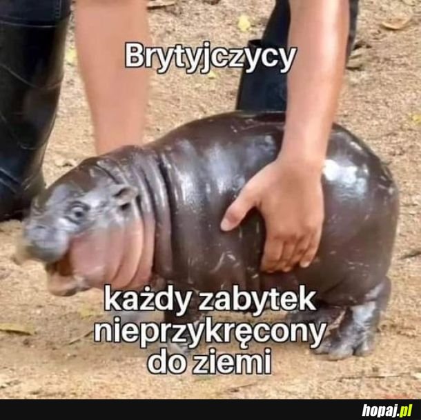 Nawet jak przykręcony, a da się dźwignąć