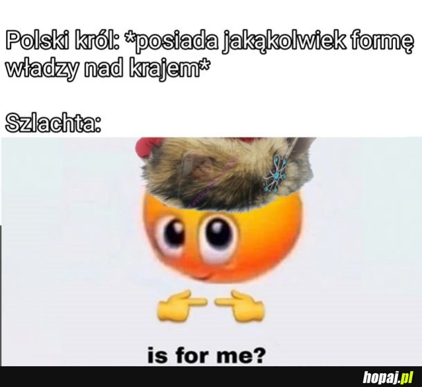 No to pachnie totalitaryzmem