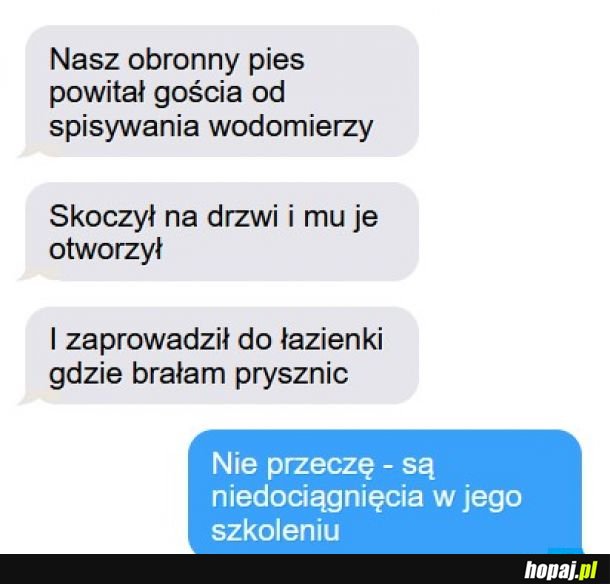 Drobne niedociągnięcia 
