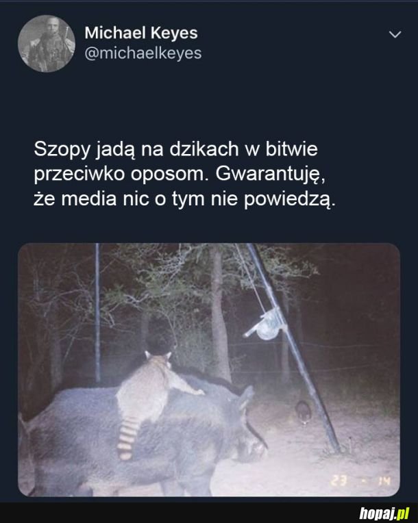 Media milczo