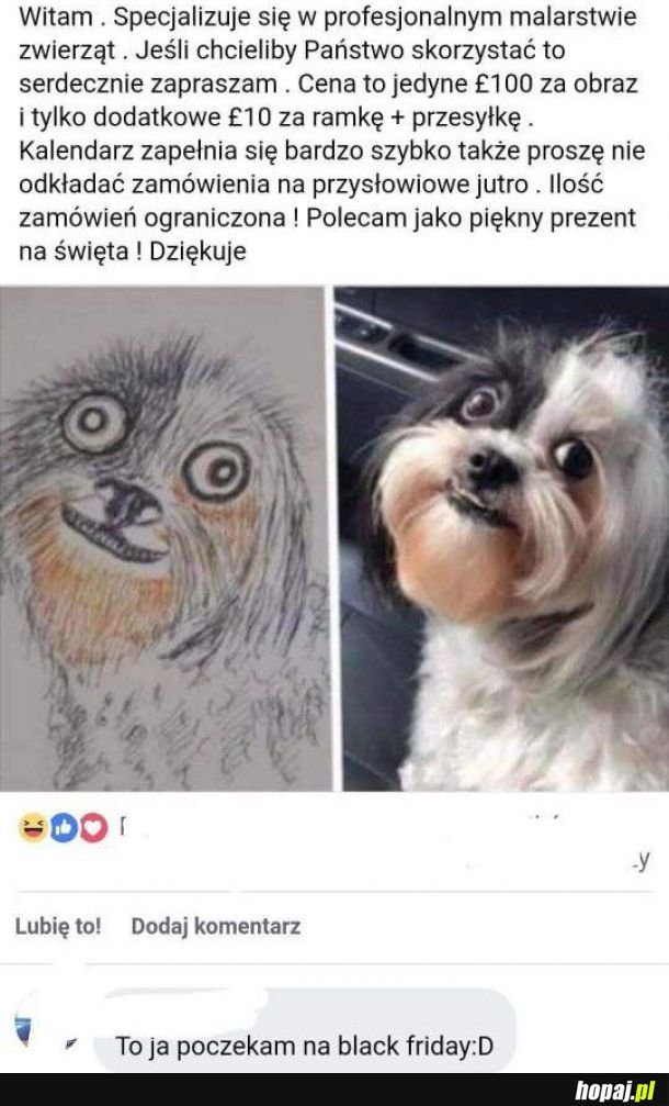 Kusząca oferta