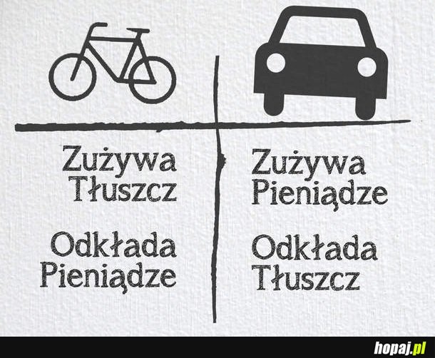 Cała prawda o rowerach i samochodach