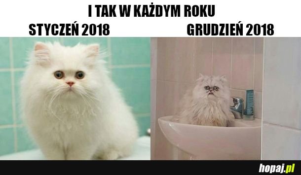 Nowy rok nowa ja