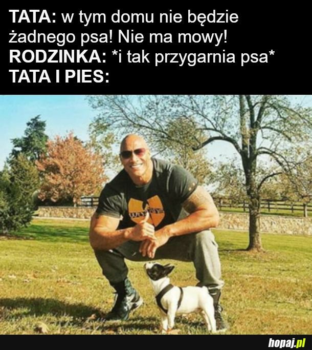  Najlepsze ziomeczki 