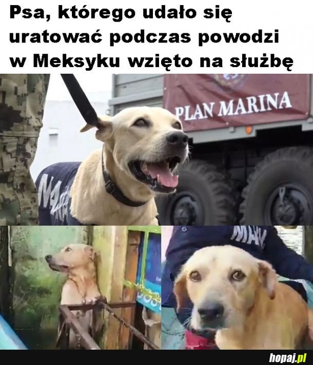 Dobra wiadomość