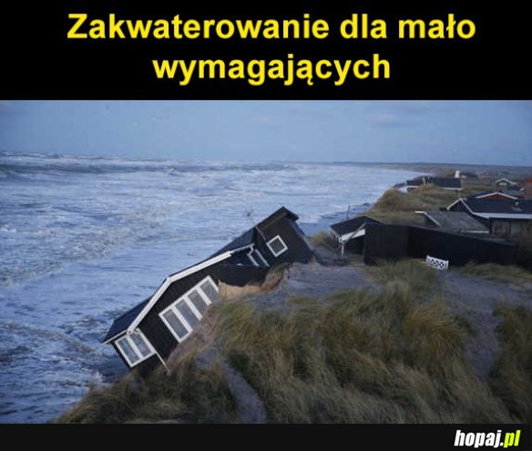Wygląda spoko