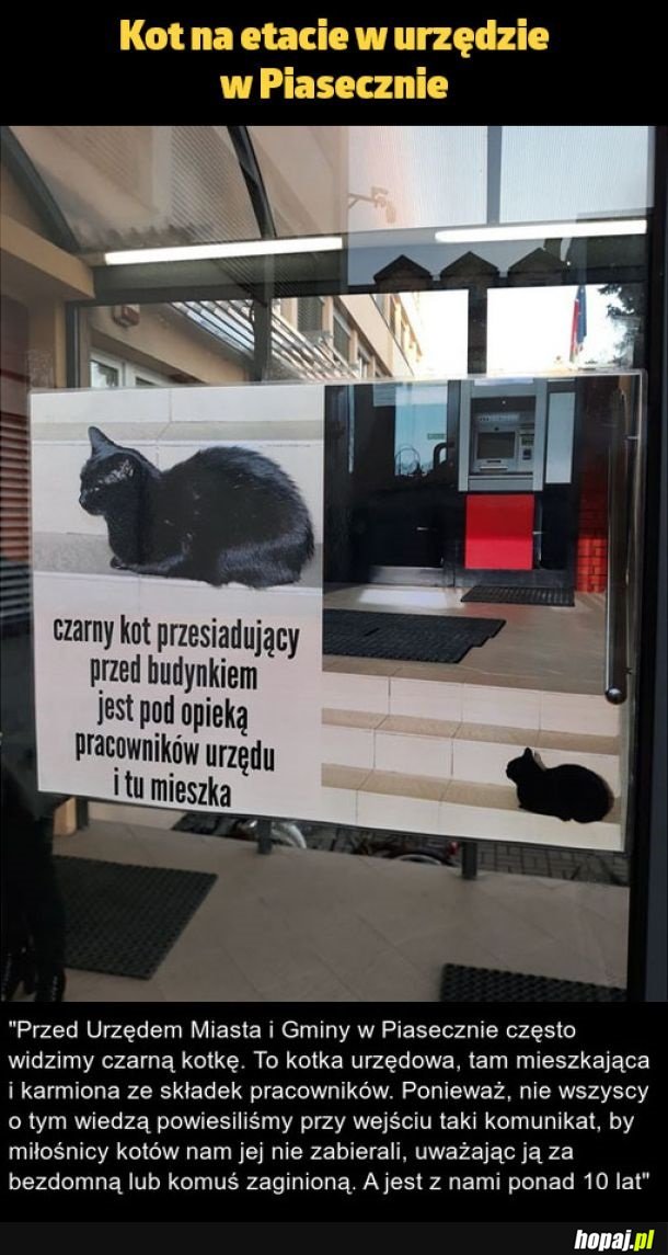 Żadna praca nie hańbi