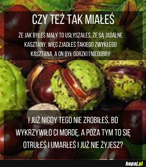 Kasztany takie są