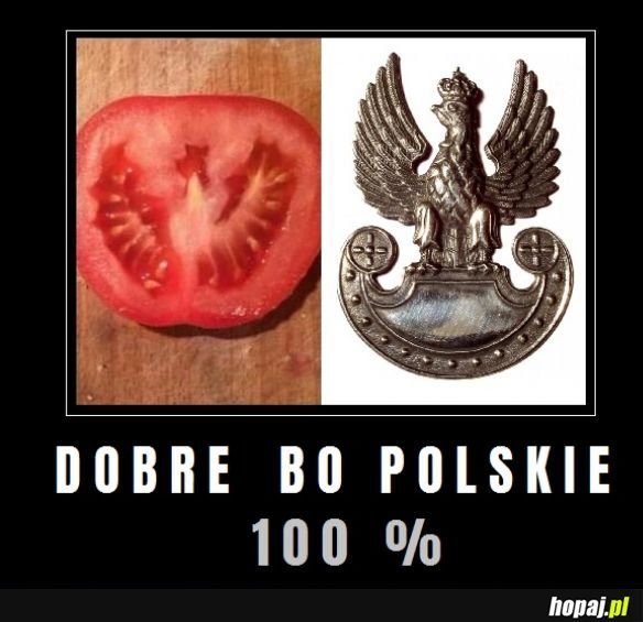 W Polsce mamy polskie pomidory ...