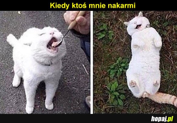 Najlepiej...