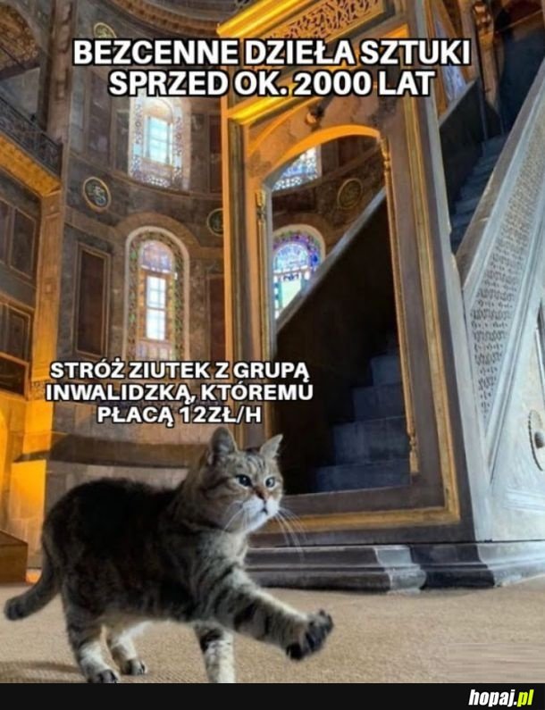 Stróż