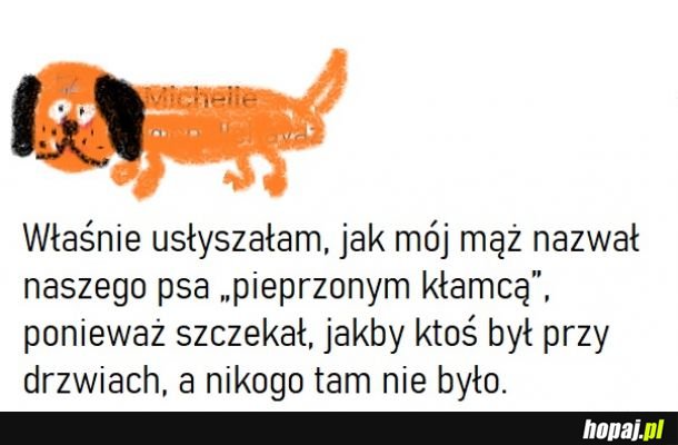 Fałszywy alarm