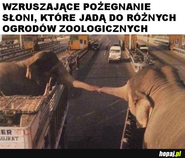 Bardzo smutne