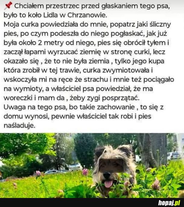 Tak było