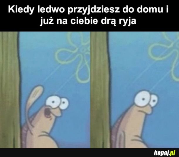 Też lubię swoje życie