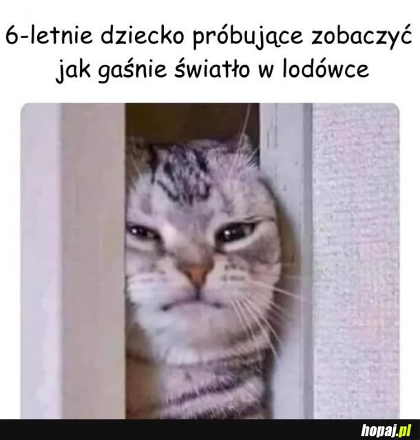 Niemożliwe