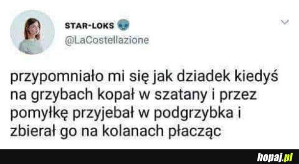  Biedny podgrzybek :(