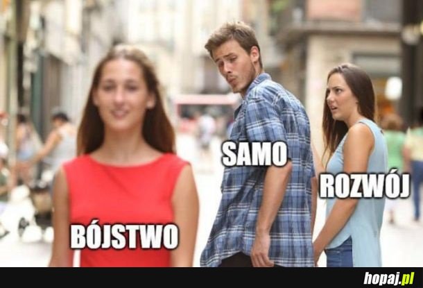 Co tu wybrać?