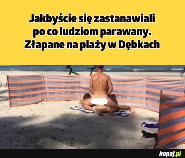 Zagadka rozwiązana