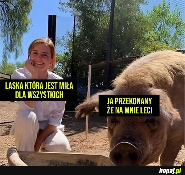 Na pewno tak jest