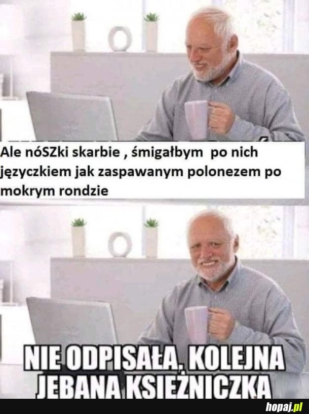 Podrywacz internetowy