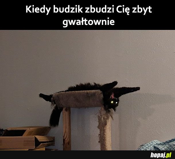 Budzik