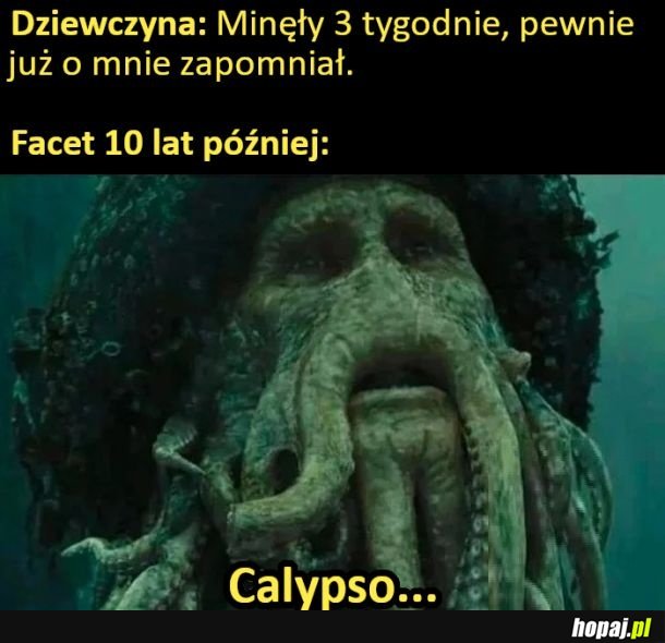 Koń