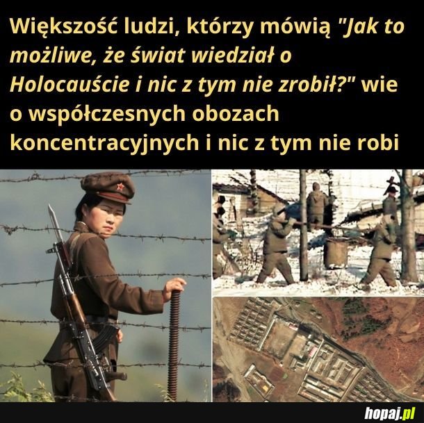 Jako ludzkość jesteśmy do kitu