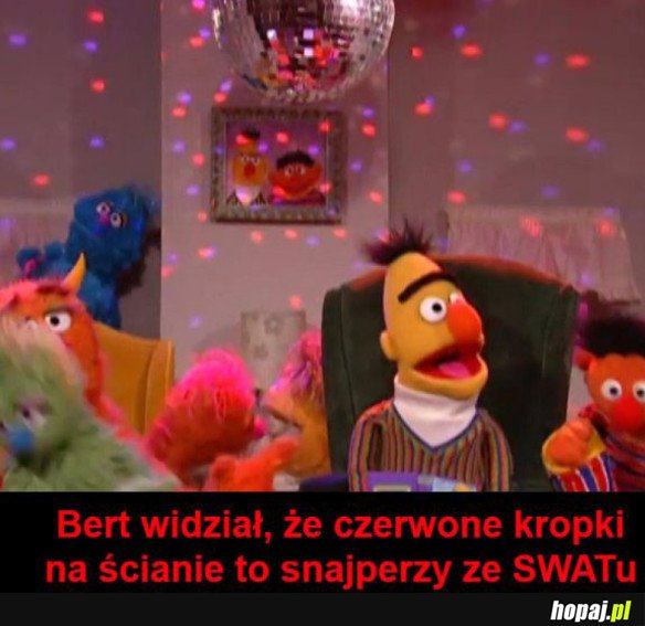 BERT MASZ RACJĘ 