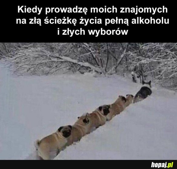 JEDYNA DROGA