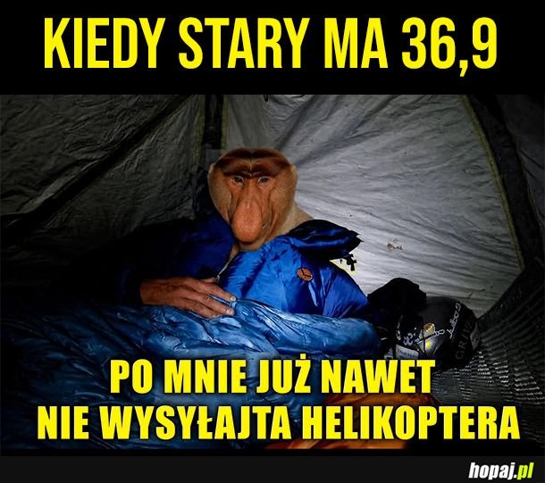 To koniec