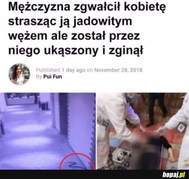 Karma wraca