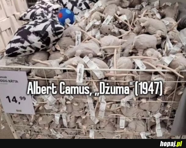 Piękna inscenizacja